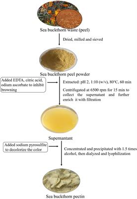 Extraction and characterization of a pectin from sea buckthorn peel